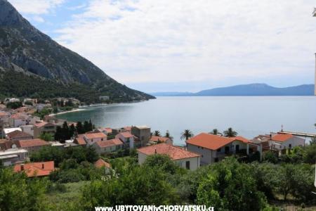 Appartements Gradina foto 5