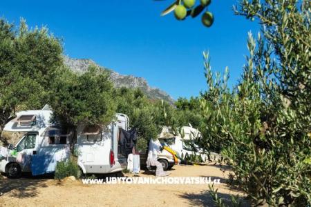 Mini Campement Podaca foto 5