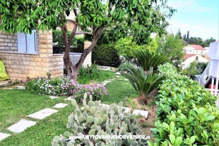  Appartements Tamara foto 5