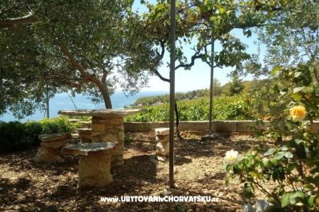 ART AND NATURE  foto 2