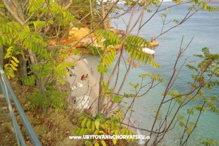 ART AND NATURE  foto 3