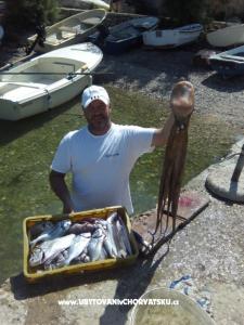 Appartements Natali foto 3