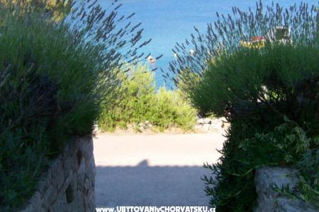 Appartements Stipišić foto 4