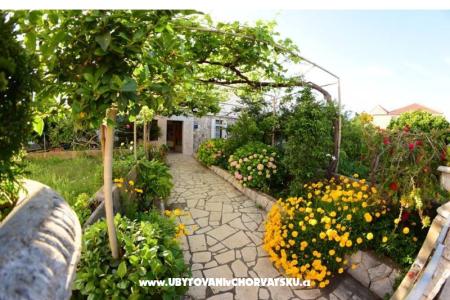 Appartements  Mate Slavic île Hvar Croatie