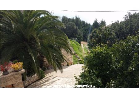 Maison de vacances Rubinić foto 4