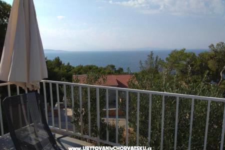 Tigrich apartmani foto 4