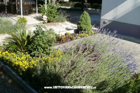 Appartements Grgin foto 5