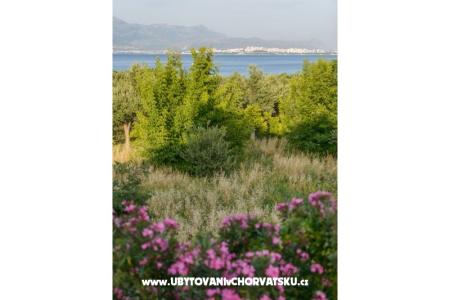 Appartements Tonka foto 4