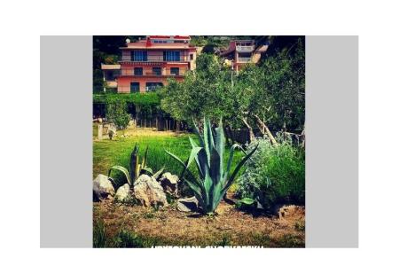 Appartements Irina, Duće-Omiš foto 2