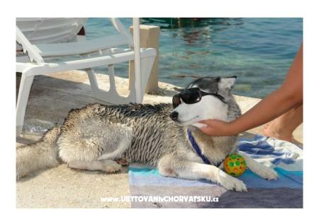 AG Komarna | Pelješac B. Appartements Klek Croatie