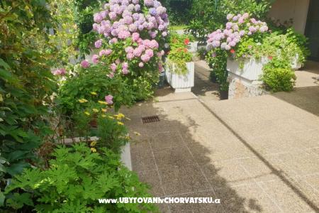 Appartements Blažević foto 4