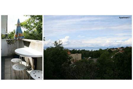 Appartements  Miskovic foto 5