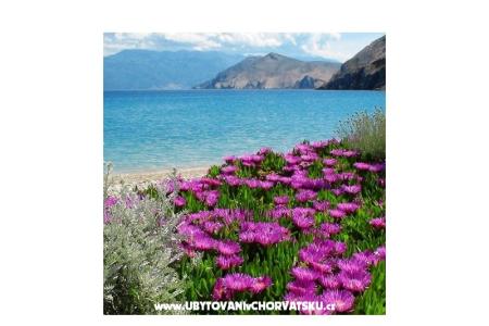 Appartements Capic foto 3