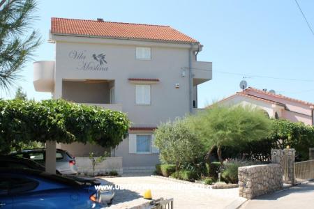 Appartements Vila Maslina île Krk Croatie
