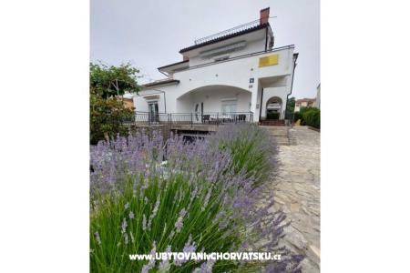 Maison Antica  île Krk Croatie