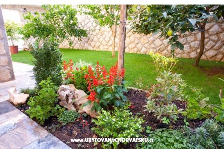 Lucia Appartements foto 5