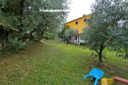 Appartements Fides foto 4