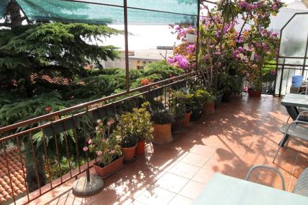 Appartement Dobrinić foto 3