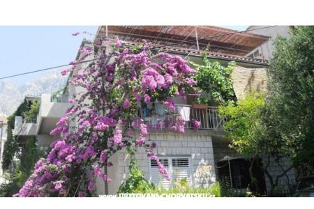 Appartements KATE Makarska Croatie