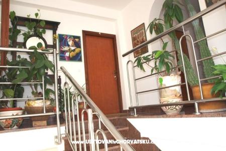 Appartements Mihić foto 5