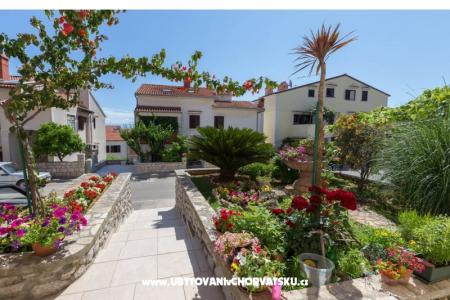 Appartements Avvi Mali Losinj Croatie