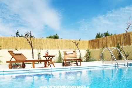 Villa Liljana foto 2
