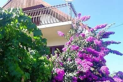 Maison Marino – Marina - Trogir Croatie