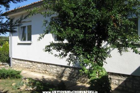 Appartements Croatia foto 3