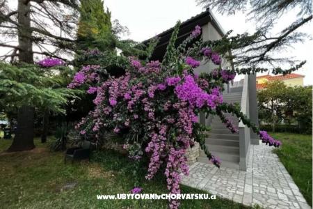 Flowers Appartement Medulin, Fucane 2 Medulin Croatie