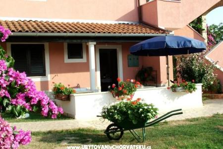 Maison Jolanda foto 3