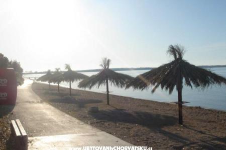 Appartements Božić foto 2