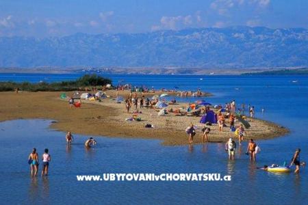 Appartements Pekić foto 2