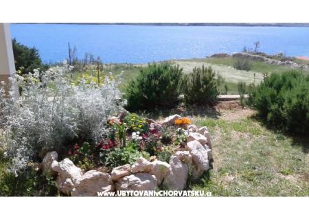 Appartements Ante foto 5