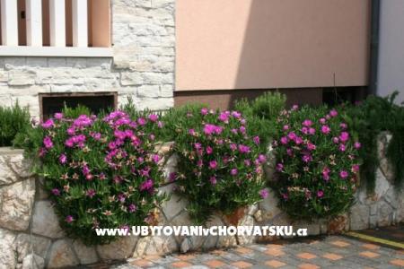 Appartements Grga foto 5