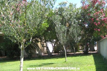 Appartements Suljic family foto 2