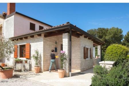 Antonia Novigrad Croatie