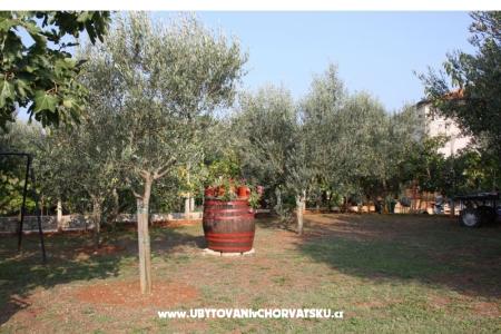 Appartement Adriana Stancijeta foto 3