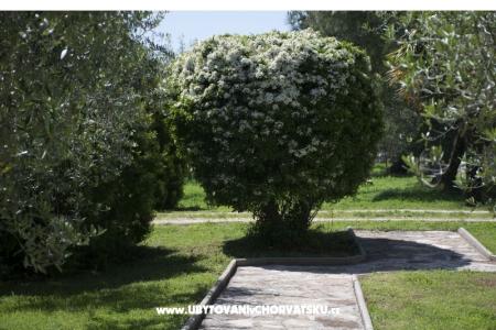 Sanja Appartements Novigrad foto 3