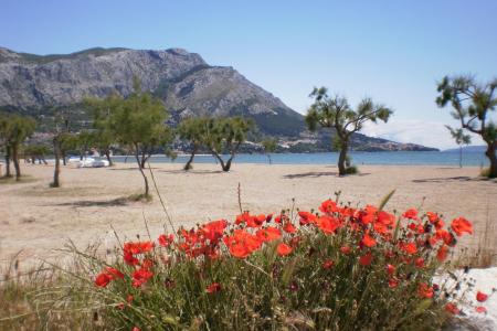 Appartements Danka Čudić foto 3