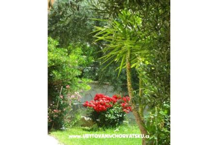 Appartements Maja foto 4