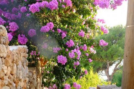 Appartements Marina foto 3