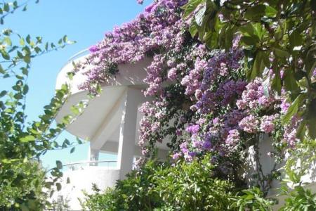 Villa Marko, Stanići foto 3