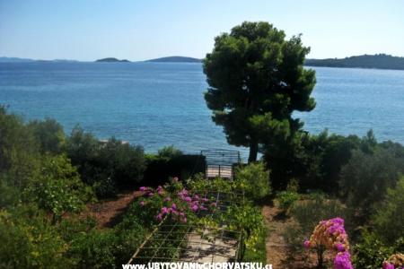 Appartements Šurjak foto 3