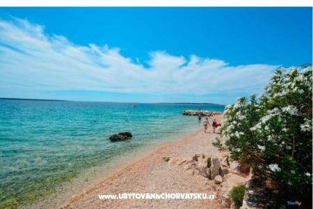 Appartements Kamelija foto 3