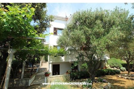 Appartements Salvia island Pag Mandre foto 4