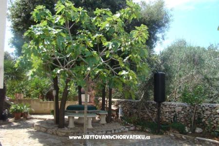 Appartements Mandre foto 2