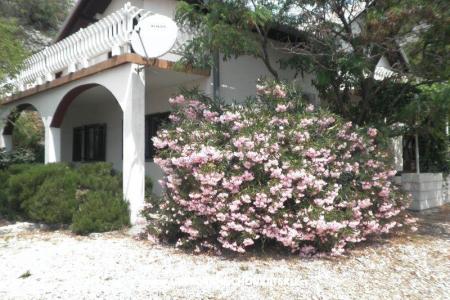 Maison de vacances Beli foto 2