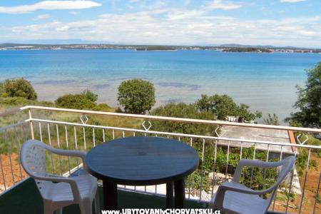 Pension Muscet foto 4