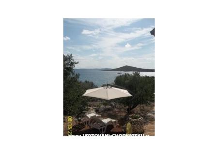 Robinson Rudika foto 3