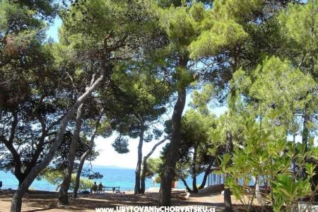 Appartements Ivan  foto 2